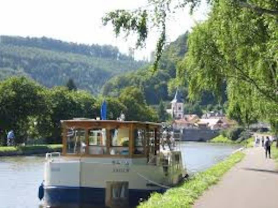 Nature, charme, confort...et Netflix ! :-) Lutzelbourg Extérieur photo
